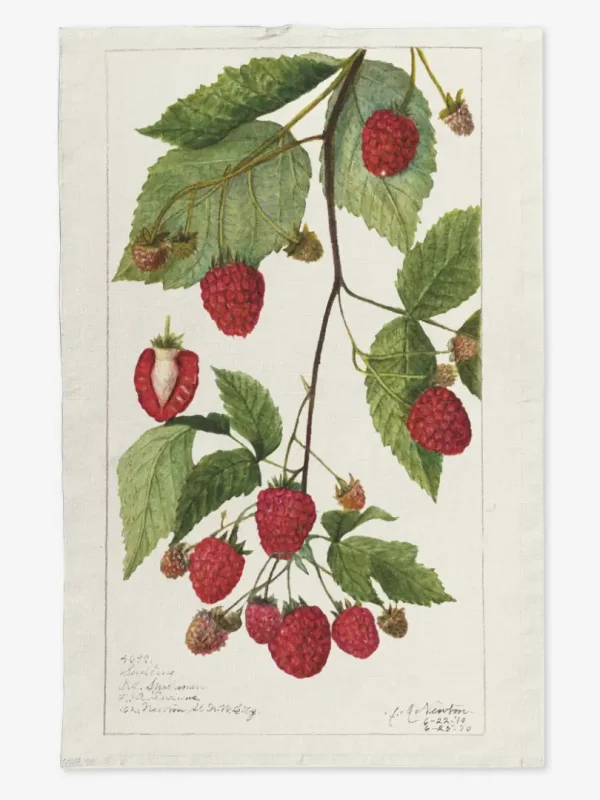 Ręcznik kuchenny maliny 50x70 cm