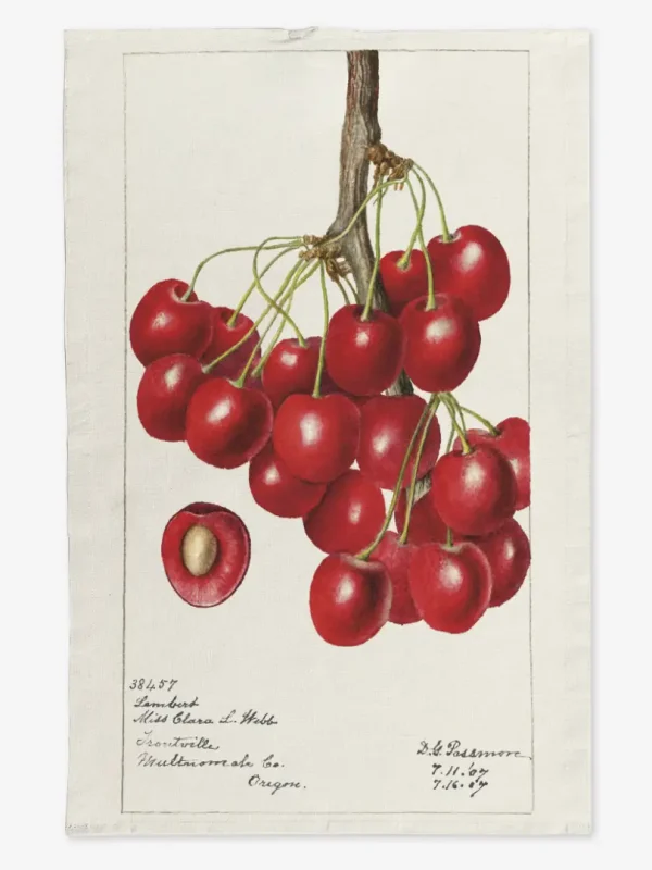 Ręcznik kuchenny kiść wiśni 50x70 cm