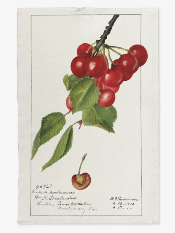 Ręcznik kuchenny wiśnie 50x70 cm