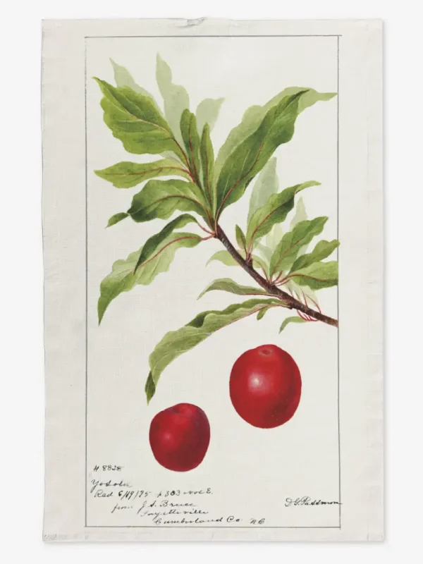 Ręcznik kuchenny gałązka śliwki 50x70 cm