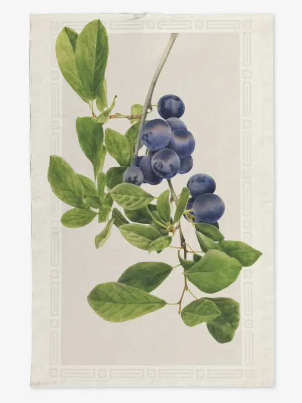 Ręcznik kuchenny bor&oacute;wka amerykańska 50x70 cm