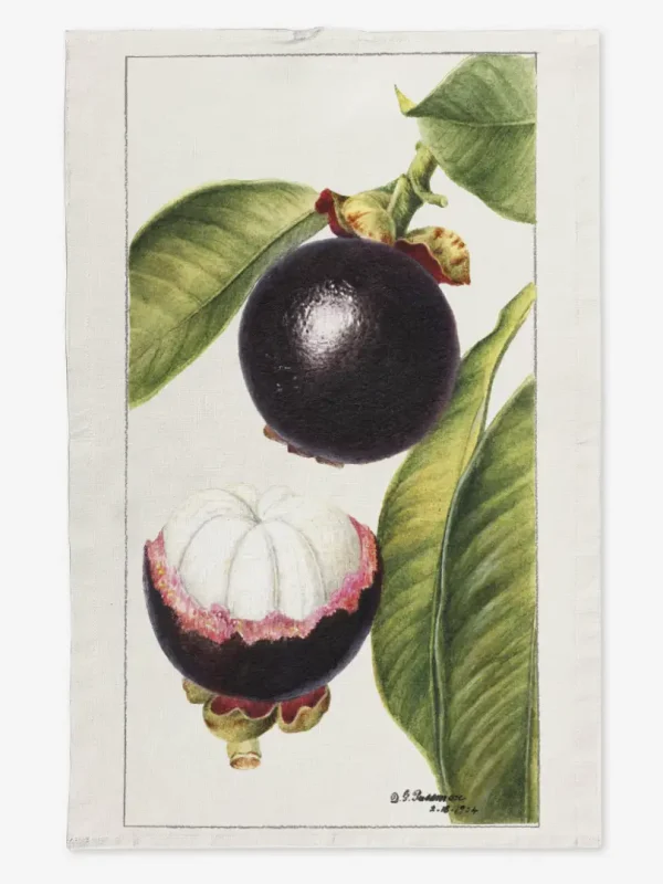 Ręcznik kuchenny mangostan 50x70 cm