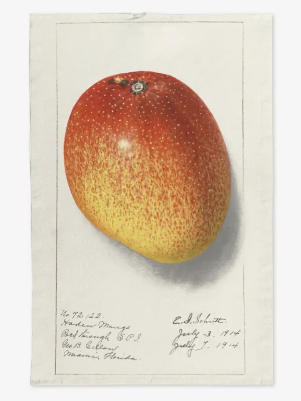 Ręcznik kuchenny mango 1 50x70 cm