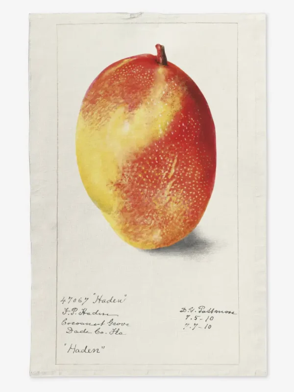 Ręcznik kuchenny mango 3 50x70 cm