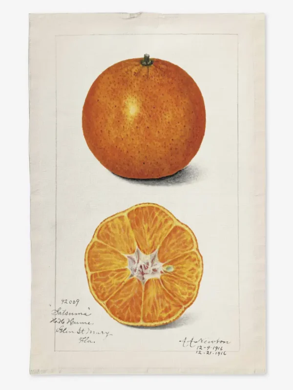 Ręcznik kuchenny pomarańcza 50x70 cm