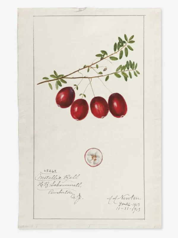 Ręcznik kuchenny żurawina 50x70 cm