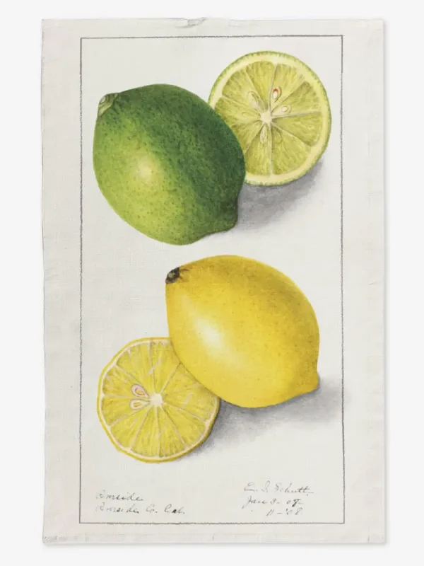 Ręcznik kuchenny limonki i cytryny 50x70 cm