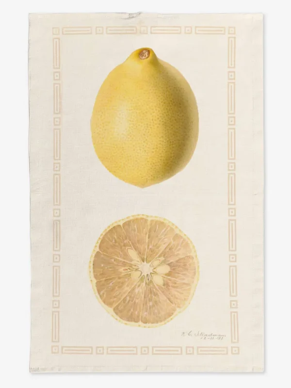 Ręcznik kuchenny cytryny w ramce 50x70 cm