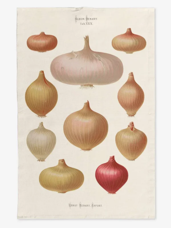 Ręcznik kuchenny cebula 50x70 cm