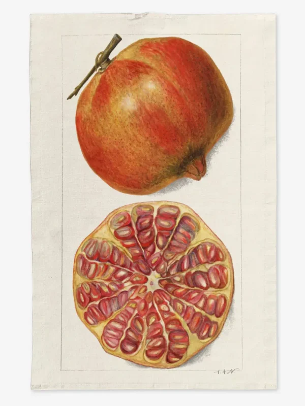 Ręcznik kuchenny Granat 50x70 cm