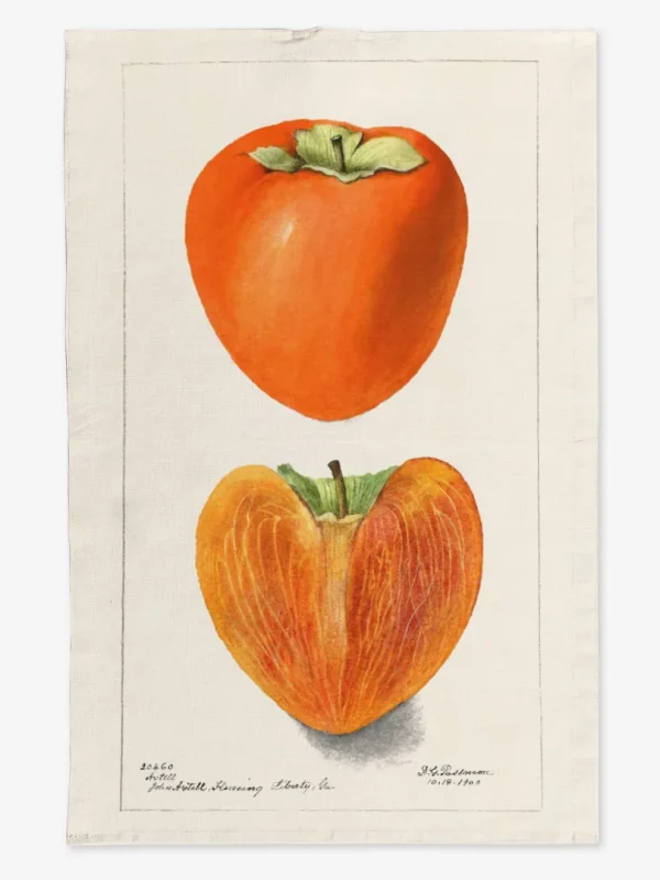 Ręcznik kuchenny Kaki 50x70 cm