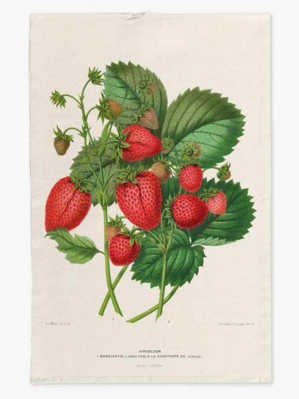 Ręcznik kuchenny Liście i truskawki 50x70 cm