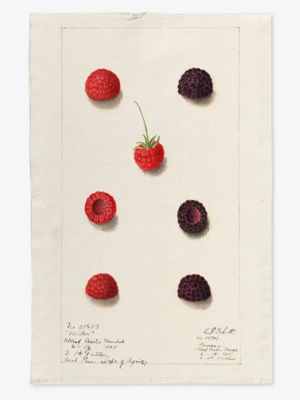 Ręcznik kuchenny Malinki 50x70 cm