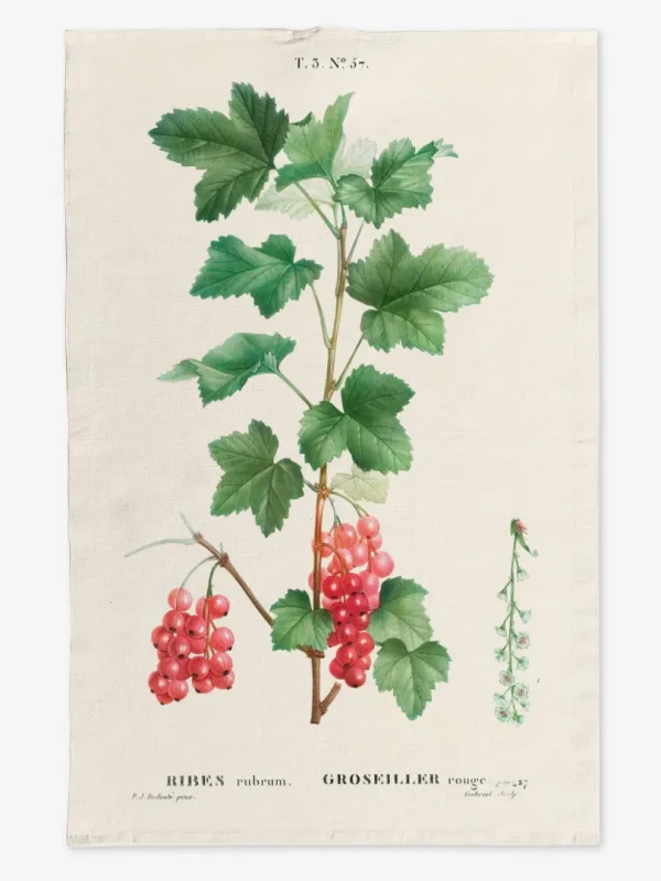 Ręcznik kuchenny Porzeczki 50x70 cm