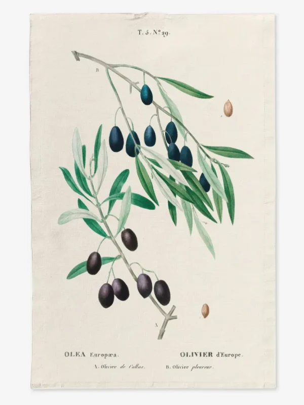 Ręcznik kuchenny Oliwki 50x70 cm