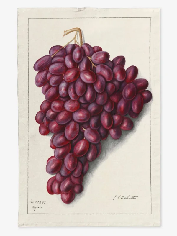 Ręcznik kuchenny Kiść winogron 50x70 cm